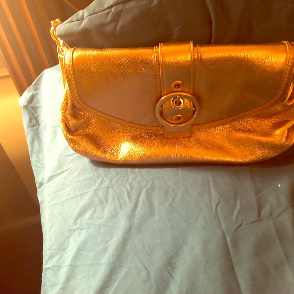Small evening purses